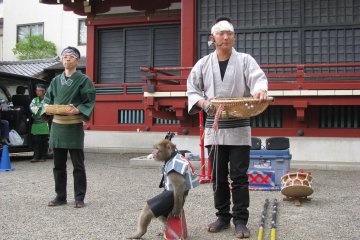 Представление с обезьянкой в Асакусе