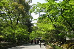 Дорога, ведущая к храму Кинкакудзи