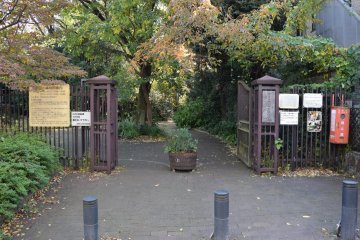 West entrance to the 'woods'