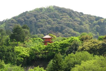 Замечательный вид с верхней площадки храма Киёмидзу-дэра