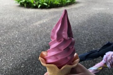 Rose flavored ice cream - our daughter really wanted to try it because it was pink!