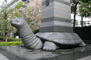The turtle - a symbol of immortality and power