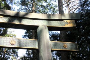 Sacred torii gate