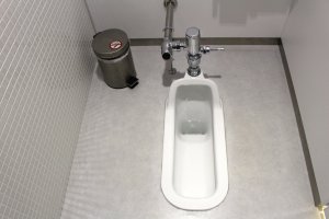 Туалет в японском стиле (встречается редко) 