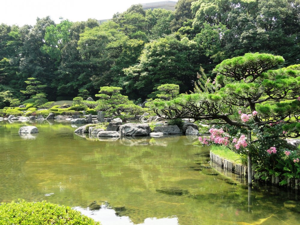 สวนญี่ปุ่นในฤดูร้อน