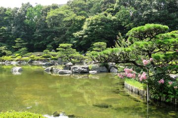 สวนญี่ปุ่นในฤดูร้อน