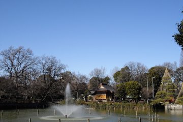Himonya Park with its pond and views