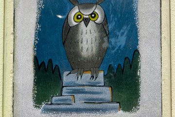 Grumpy owl.