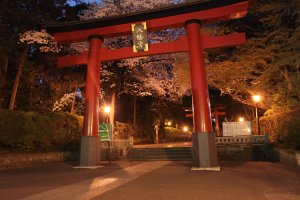 Torii gate to Omiya Hachimangu Shrine