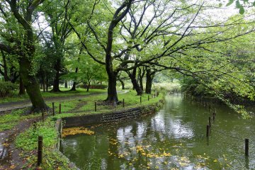 Relaxing waterside experience at Zenpukuji Park