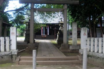 Torii entrance gate to the shrine