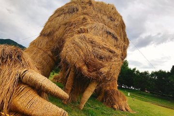 Last year's straw sculptures