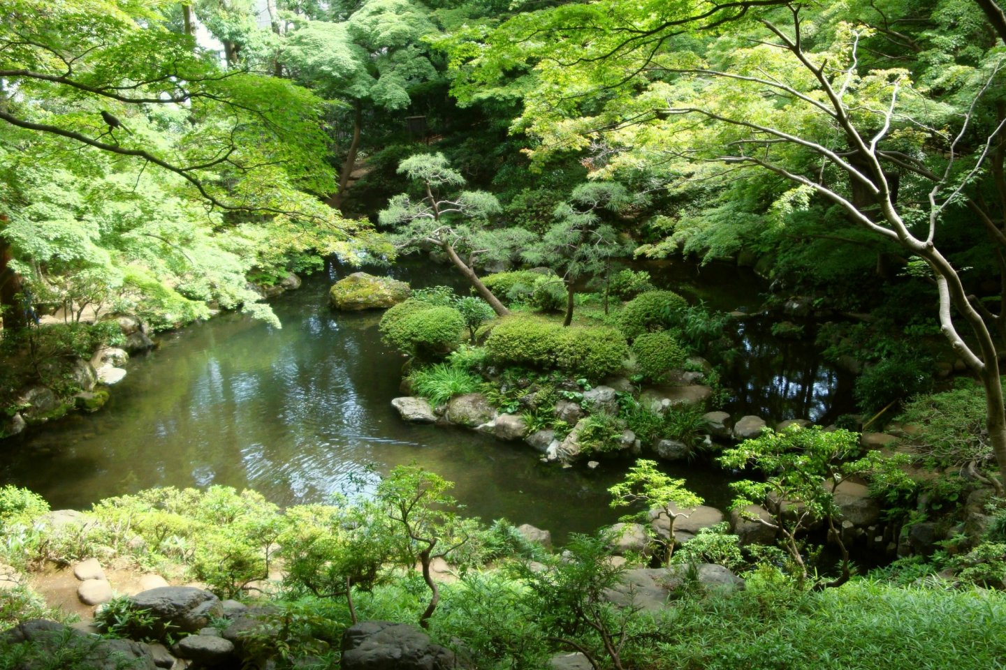 Tonogayato Garden, Kokubunji City