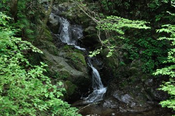 Shiraiwa Falls, Hinode Town