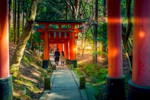 Kyoto, Fushimi Inari-taisha