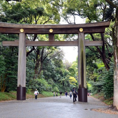 Top 5 Attractions around Meiji Jingu 