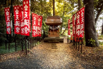 Although this shrine is officially known as Akiru Jinja, several other smaller shrines within this complex exist