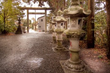 When looking toward the right of the main shrine you can see a large gate which marks the street entrance