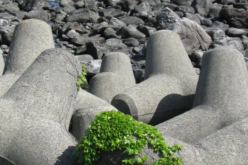 Бетонные укрепления и природные камни на берегу