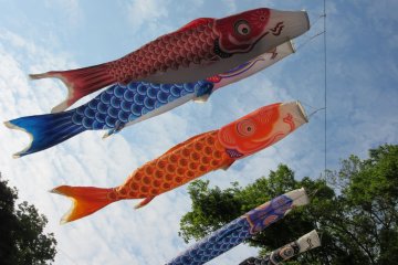 "Койнобори" является традиционным украшением и символом праздника мальчиков Кодомо-но-хи