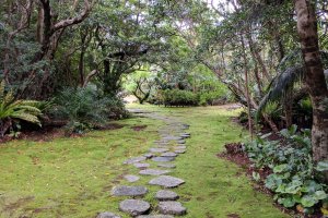 Hachijo Botanical Garden, Hachijojima Island