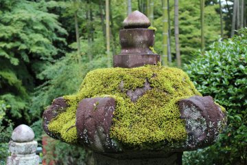 Moss covered old stone lantern 