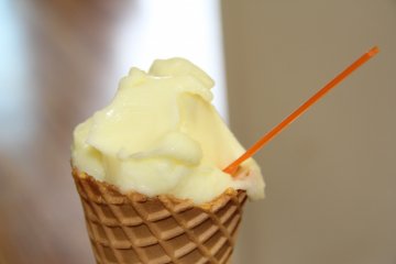 <p>This is a double waffle cone of shikuwasa sorbet</p>