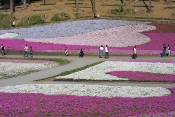 Heart-shaped flower beds at Hitsujiyama Park of Tokyo