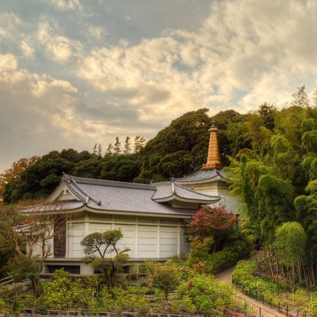 Hondoji Temple