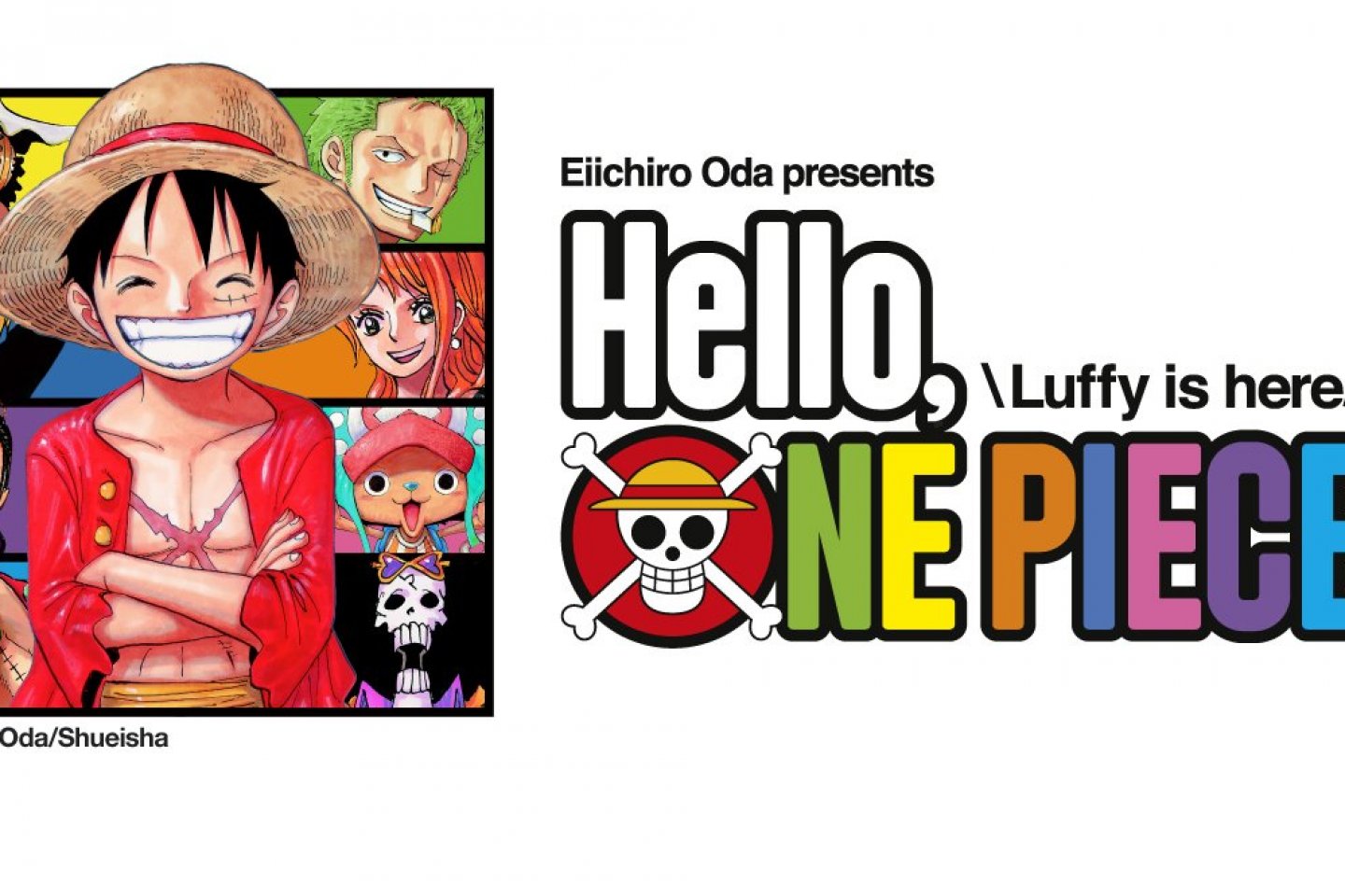 Luffy and the gang are ready to welcome you!