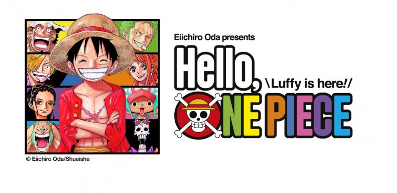 Luffy and the gang are ready to welcome you!