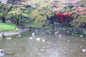 Koishikawa Karakuen Garden, Tokyo