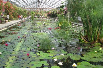 Indoor Parks and Greenhouses