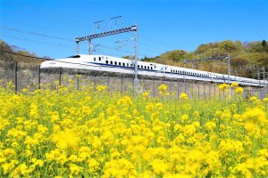 Take the frequent and silky smooth service between Tokyo and Osaka, via Shin Yokohama, Nagoya and Kyoto