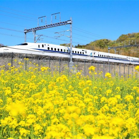 Japan Rail Tokai Flex Pass