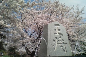Festival de Sakura de Tendo