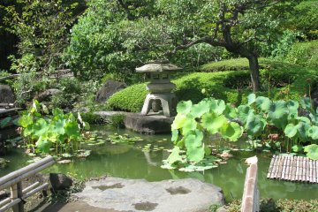 Мои любимые места Японии. Сады