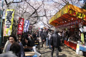 Фестиваль ханами в парке Уэно, Токио