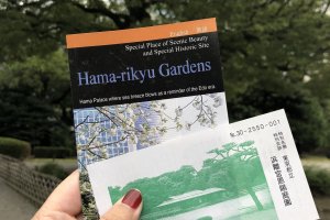 Ticket to enter Hamarikyu Gardens.
