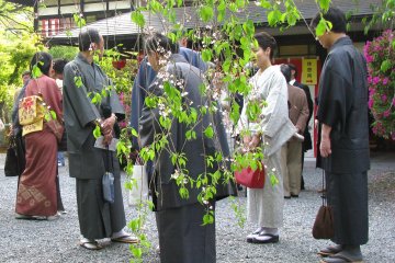 Современные мужчины надевают традиционную одежду по особым случаем, например на спектакль Мияко Одори в Киото