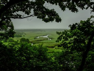 Khung cảnh những hồ nước chạy qua Công viên Quốc gia Shitsugen
