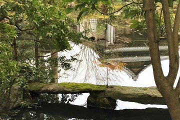 Capturando el templo en el reflejo del estanque de Koi