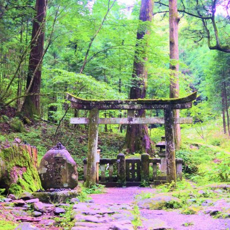 Takino Shrine in Nikko