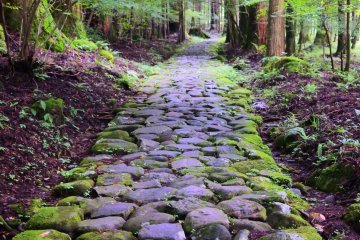 The path of the Takino Kodo 