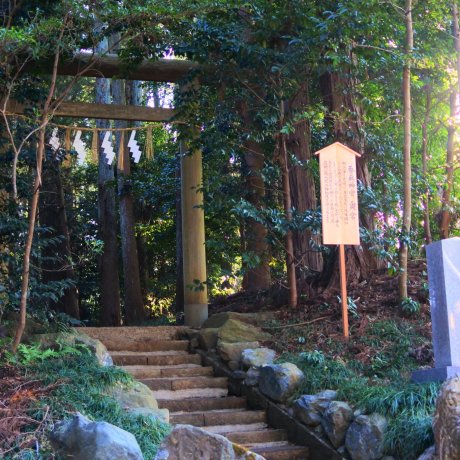 Katori Jingu Shrine Part 2