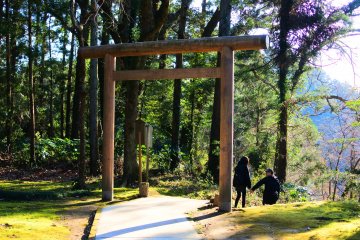 Another Torii in the precinct