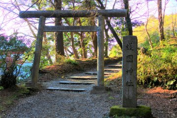The Torii of Katori Gokoku Shrine