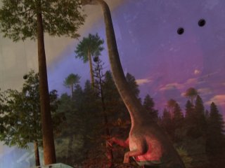 Um dinossauro adequado &agrave; sala com um teto alto