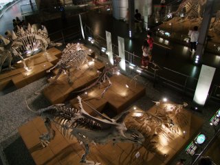 The exhibits can be seen from many angles