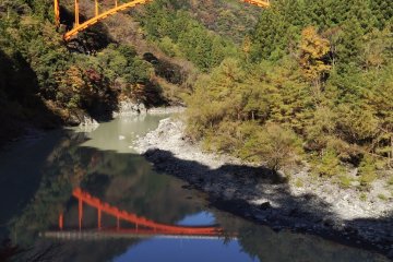  从井川线列车上看到的桥